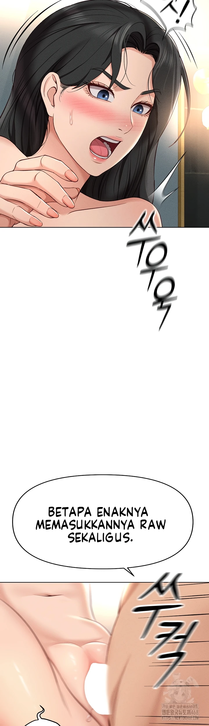 Common Sense Manipulation Program - Page 13